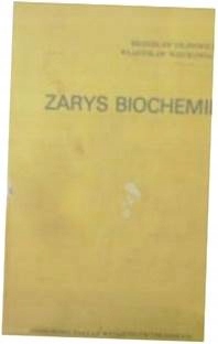 Zarys biochemii - Filipowicz