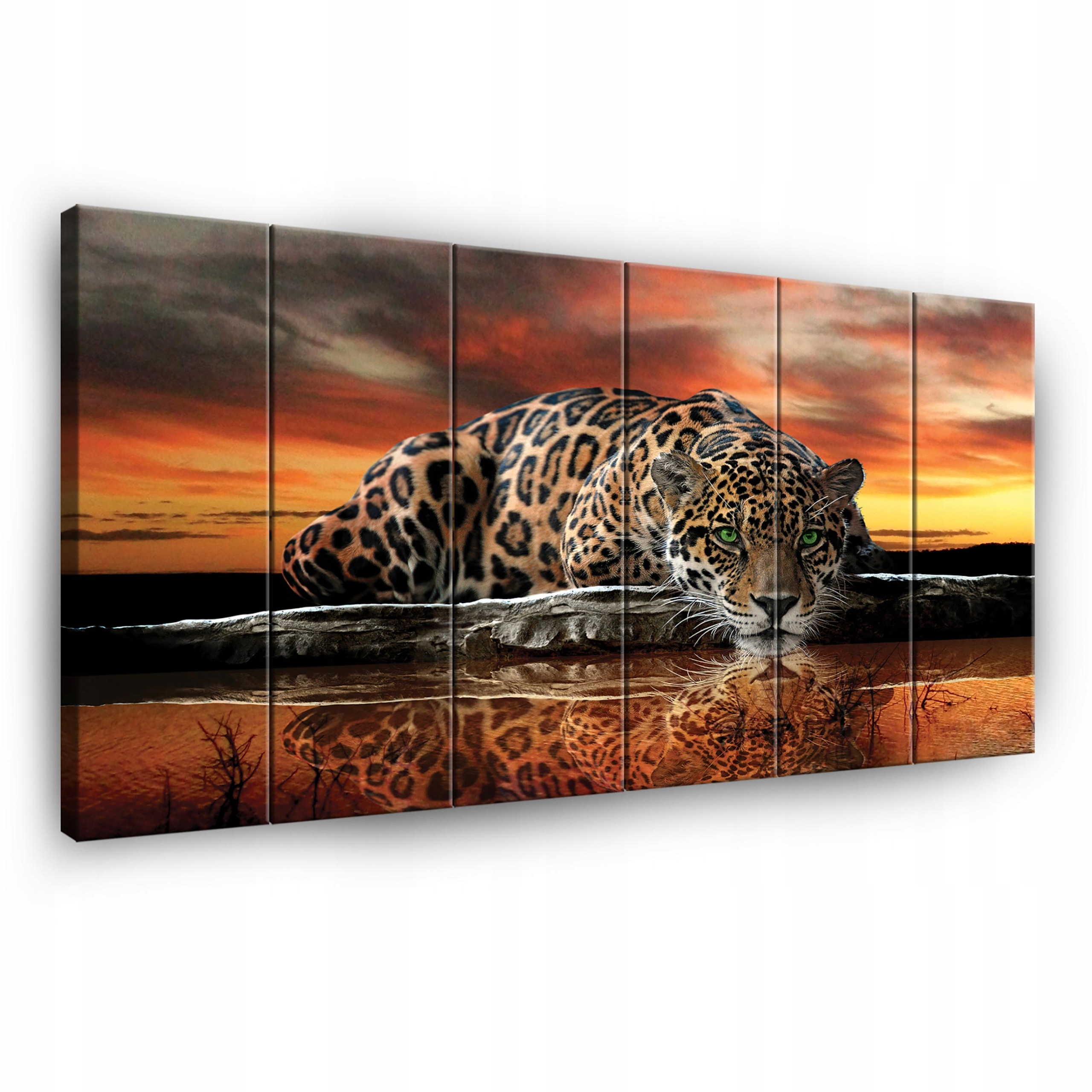 Obraz Tygr Safari Na Plátně Stěna 6 Částečný Obývací Pokoj Ložnice 180x100