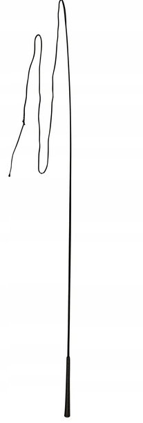 Bat Do Lonżowania Czarny 180CM Covalliero