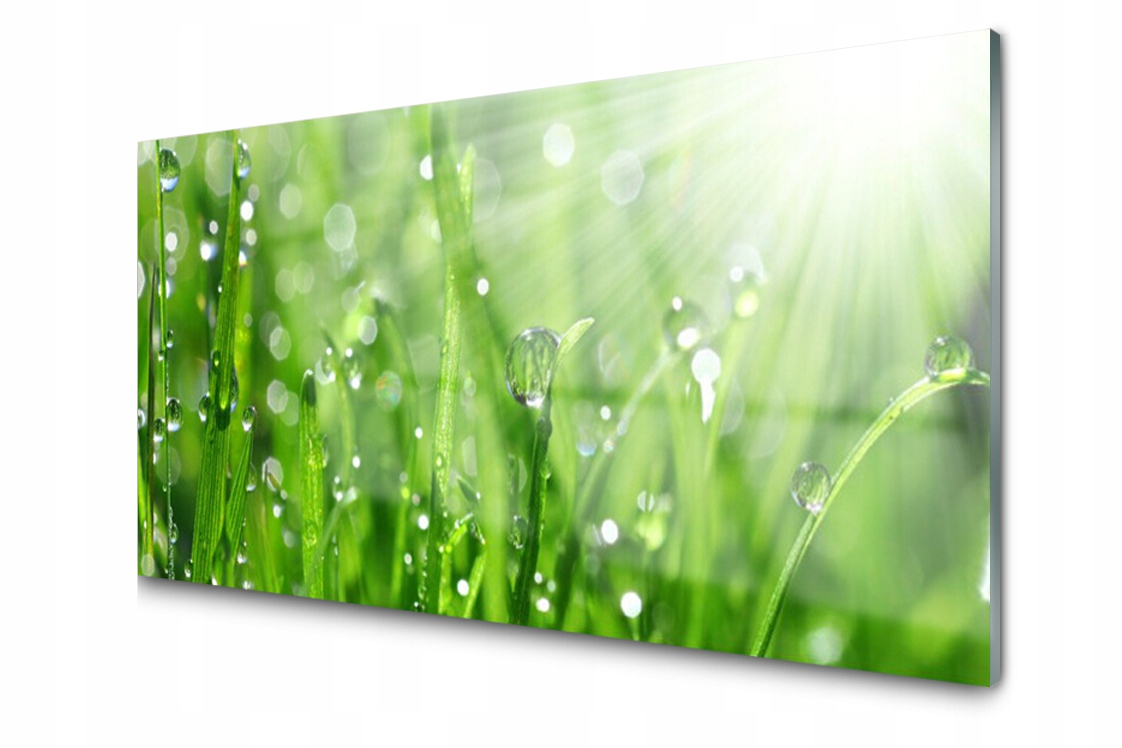 

Panel szklany Płytka Trawa Krople 100x50