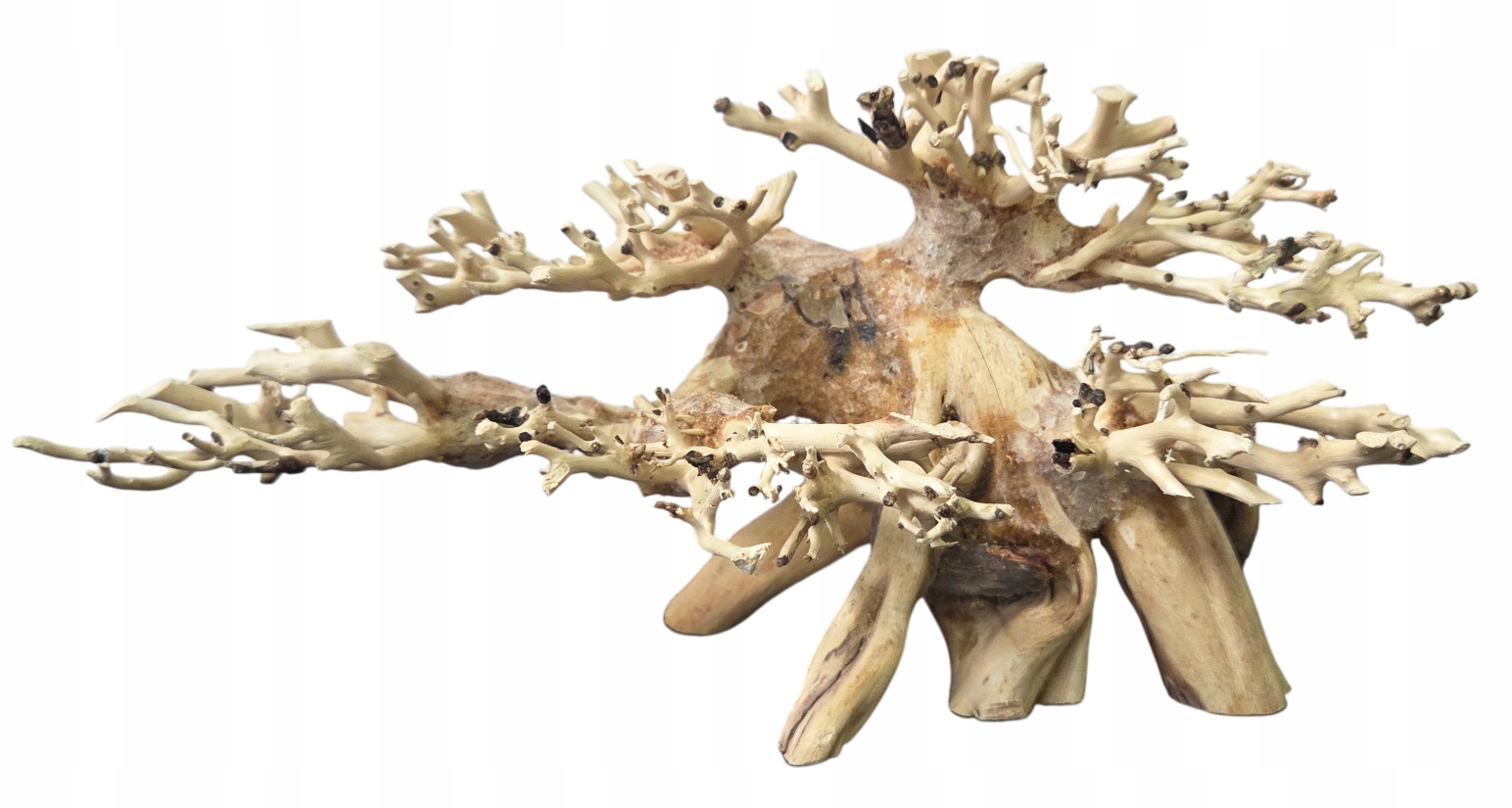 Levně Stromek Bonsai Akvárium červená moor dekorace driftwood 26x11x17 cm Velikost S