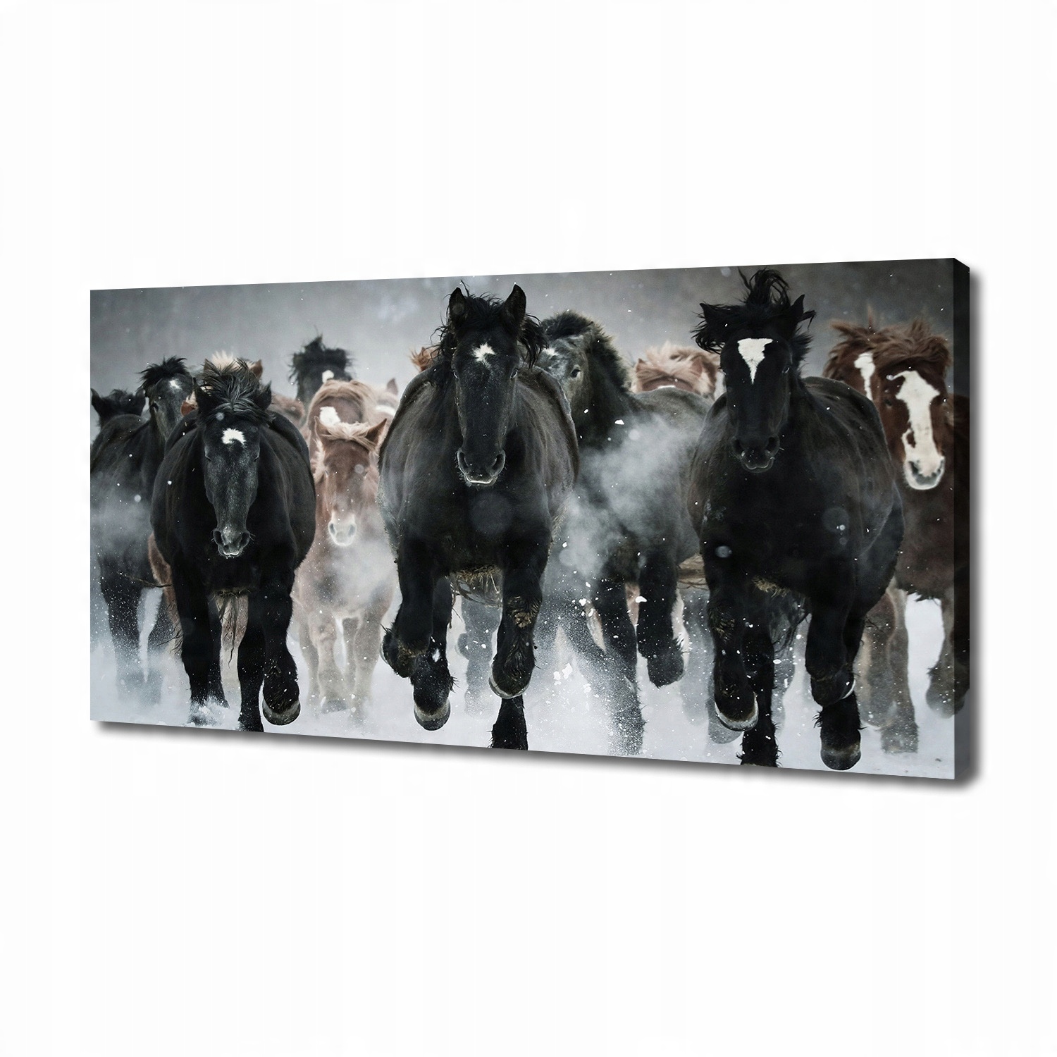 

Foto obraz na płótnie Konie w galopie 140x70 cm