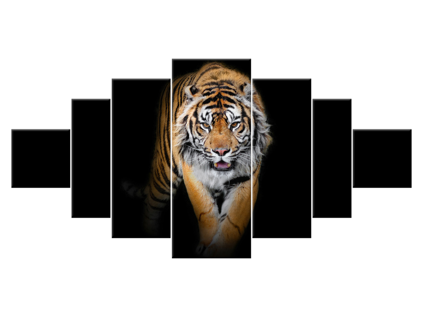 

Obraz 200x100 Zwierzęta Tygrys 7 elementowy