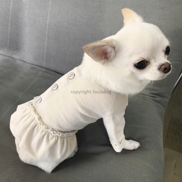 Šaty Pro Malého Psa S Knoflíky Louisdog modrá Xs
