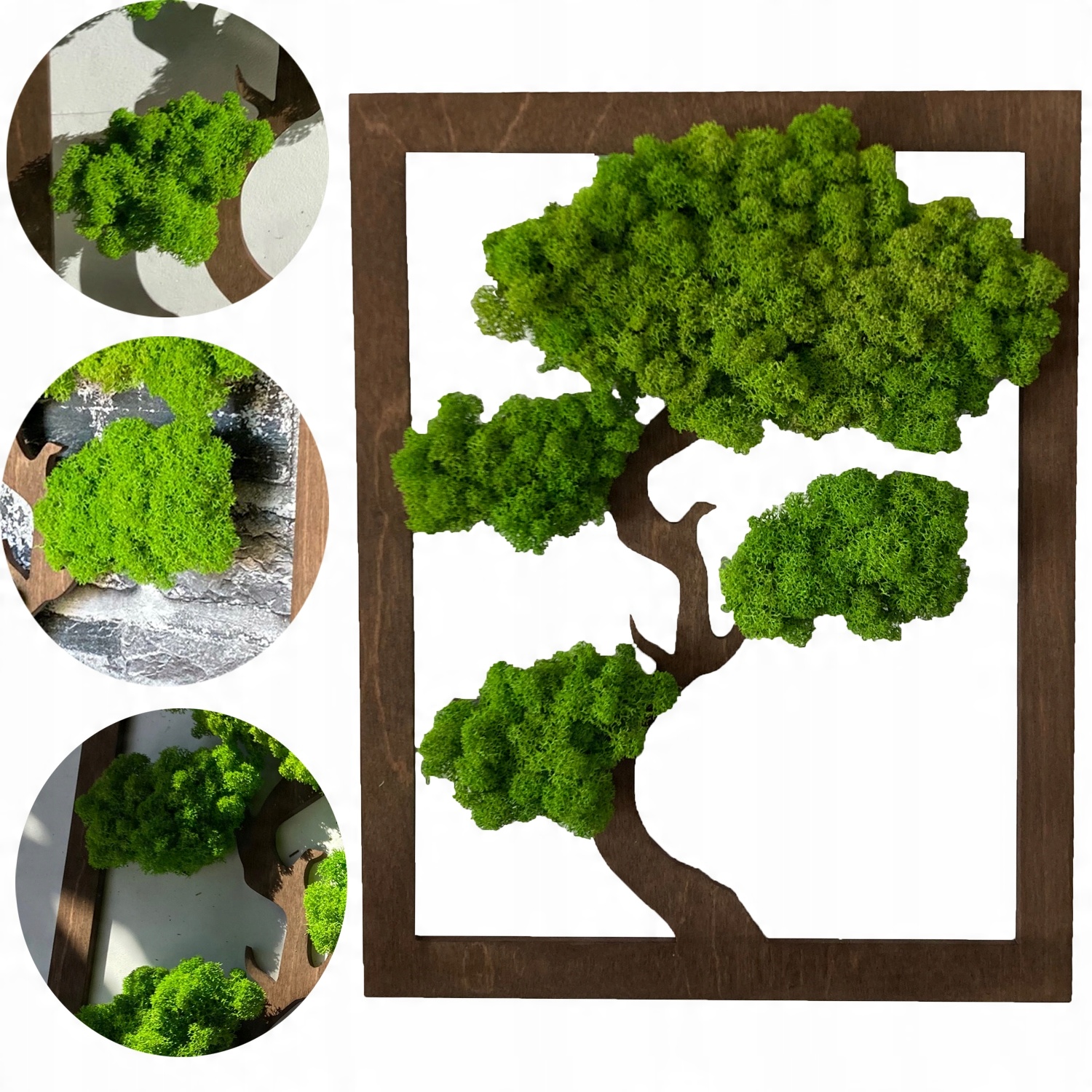

Żywy Obraz Drzewko Bonsai Drzewo Życia