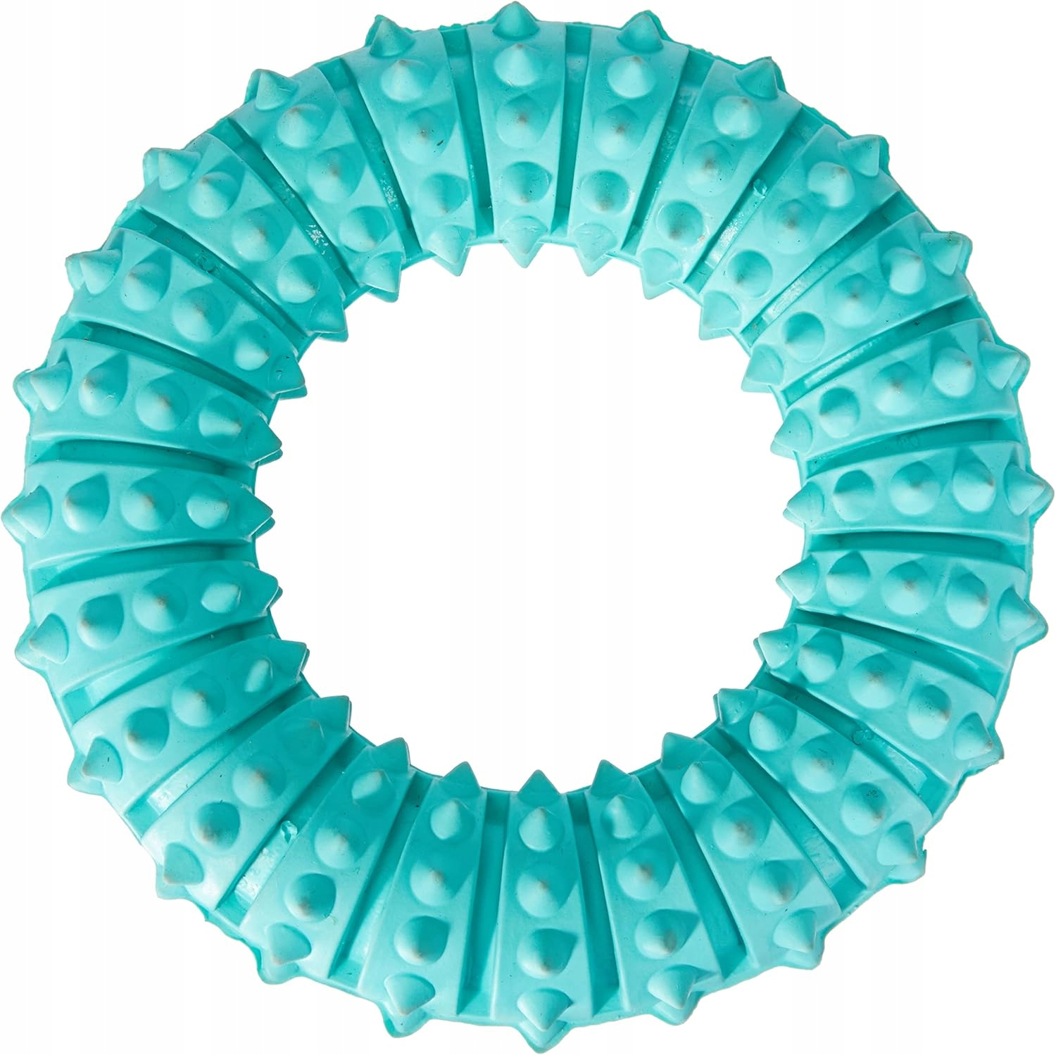 Levně Kousátko Pro Psa Denta Fun Ring Přírodní Guma 12 CM Mátově Svěží