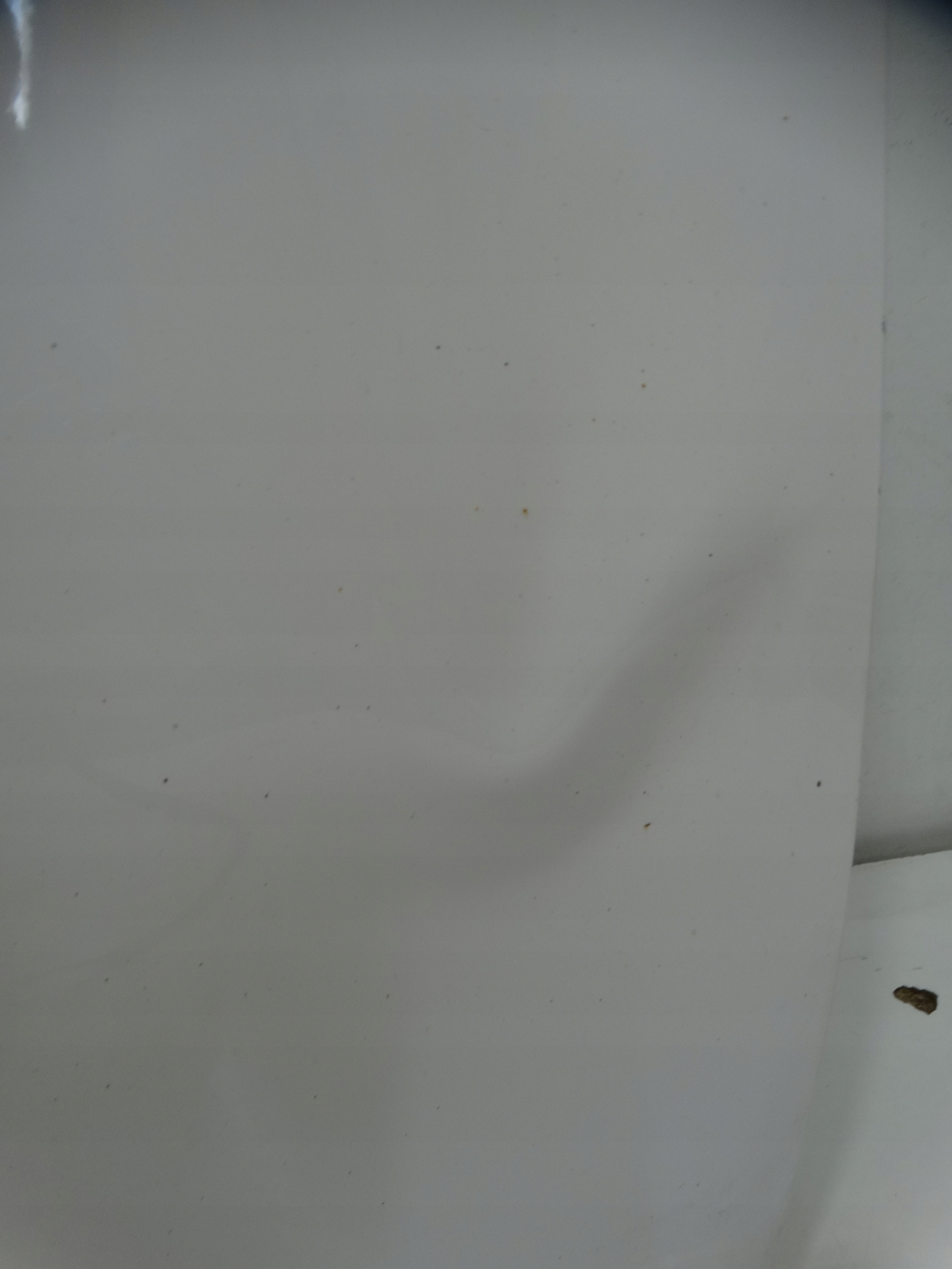 door right front KIA CARENS IV 13-19R. KOD : D1