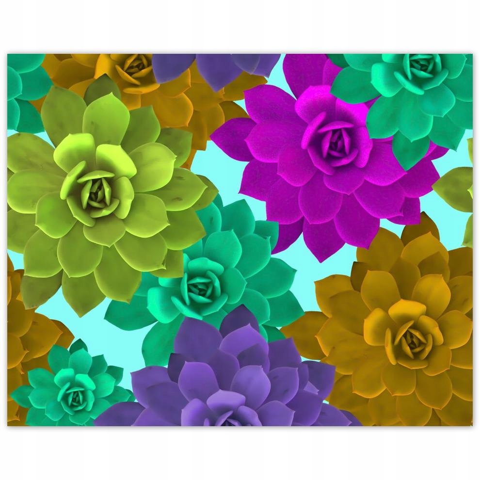 

Plakat 50x40 Kolorowe kwiatki Kwiaty