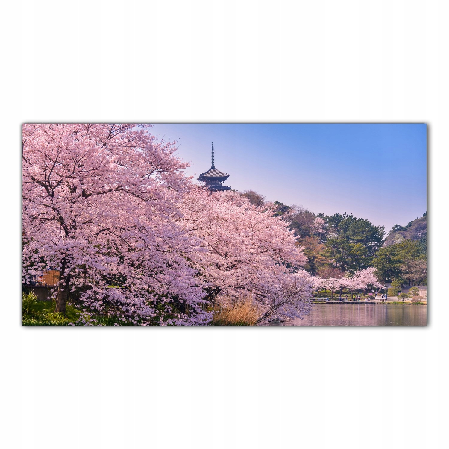 Japonsko Višeň Květiny 140x70 Panel tvrzené sklo