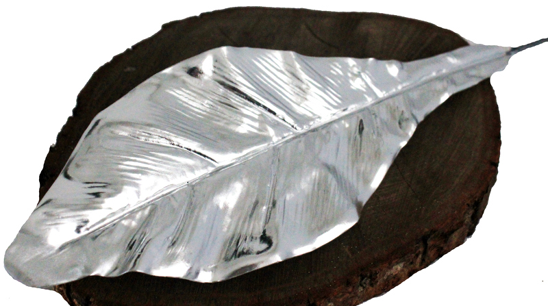 

Asplenium Liść Woskowany Srebrny Metaliczny 51 cm