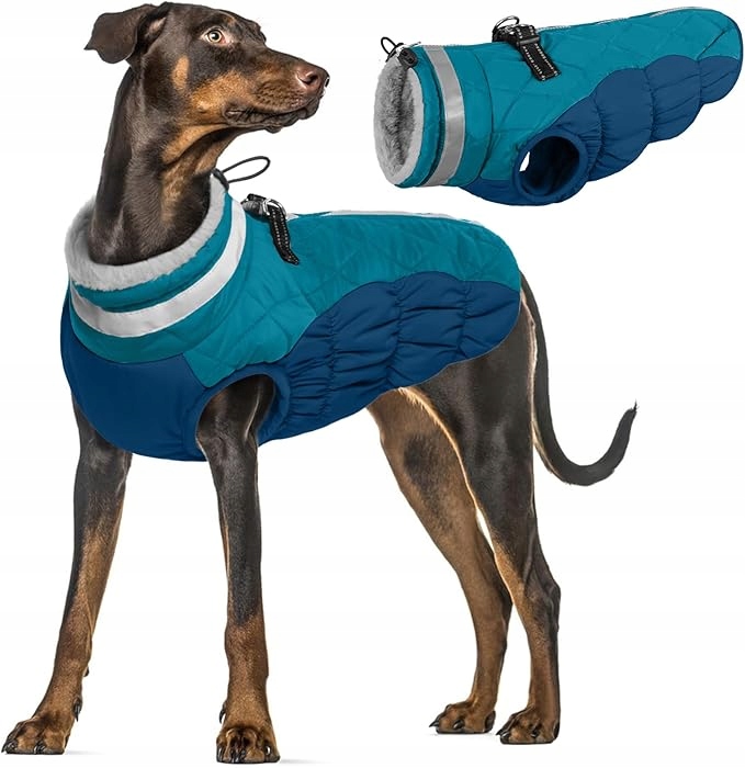 Levně Pumyporeity Oblečení bunda pro Psa voděodolná, nastavitelná Turkus *L