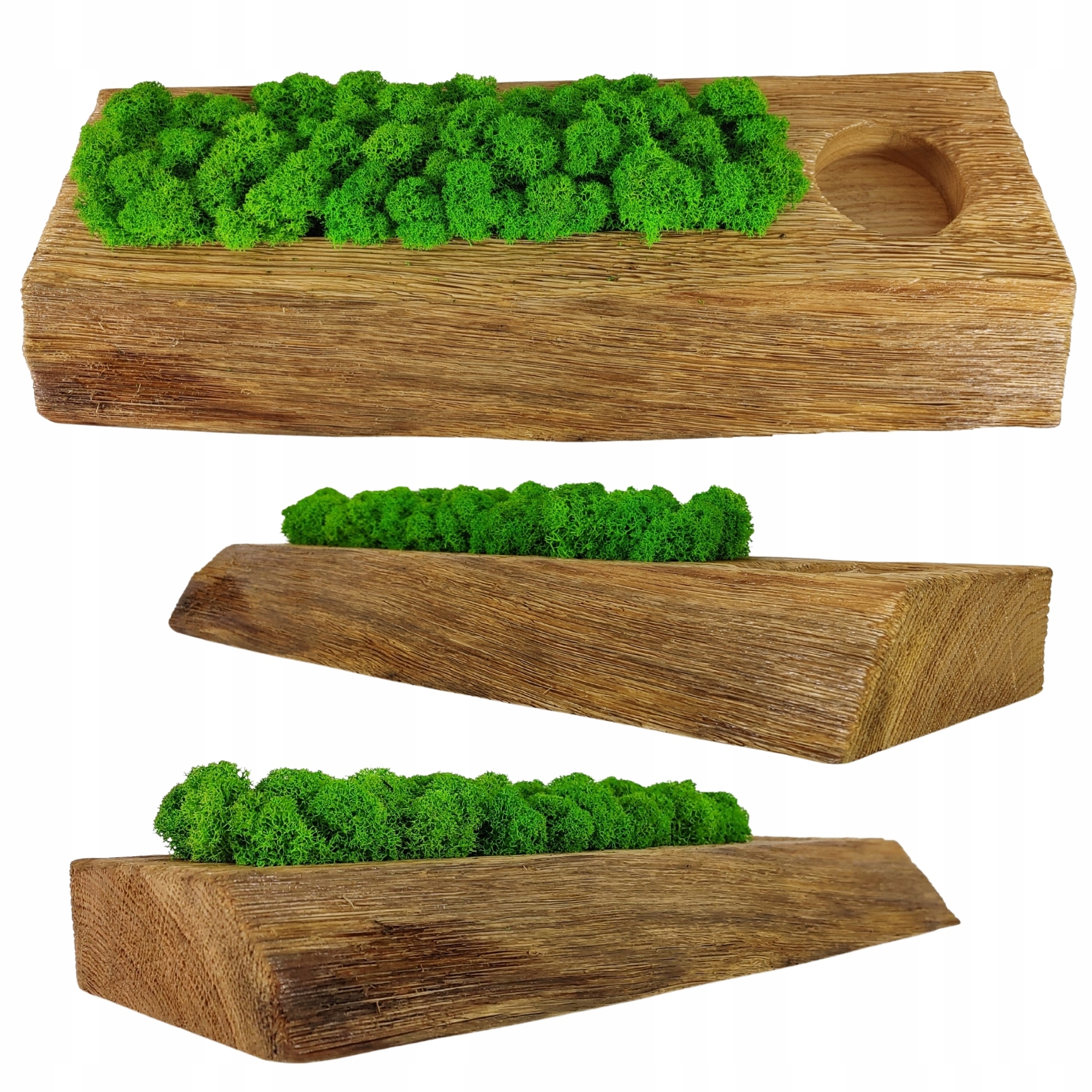 Květináč z dubového dřeva s mechem Chrobotkem Květináč mech dekorace