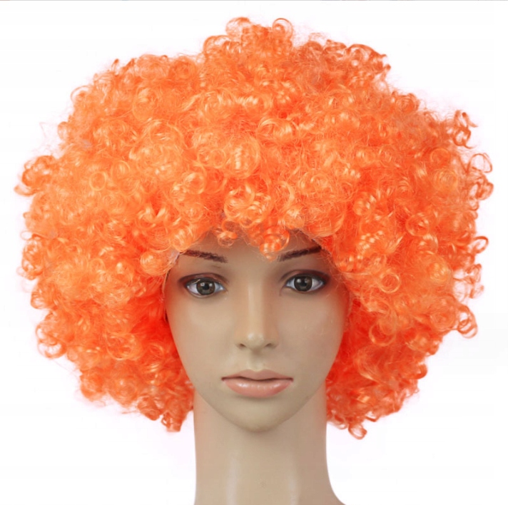 KOLOROWA PERUKA WŁOSY AFRO KARNAWAŁ PARTY FOTOBUDKA URODZINY Cechy afro
