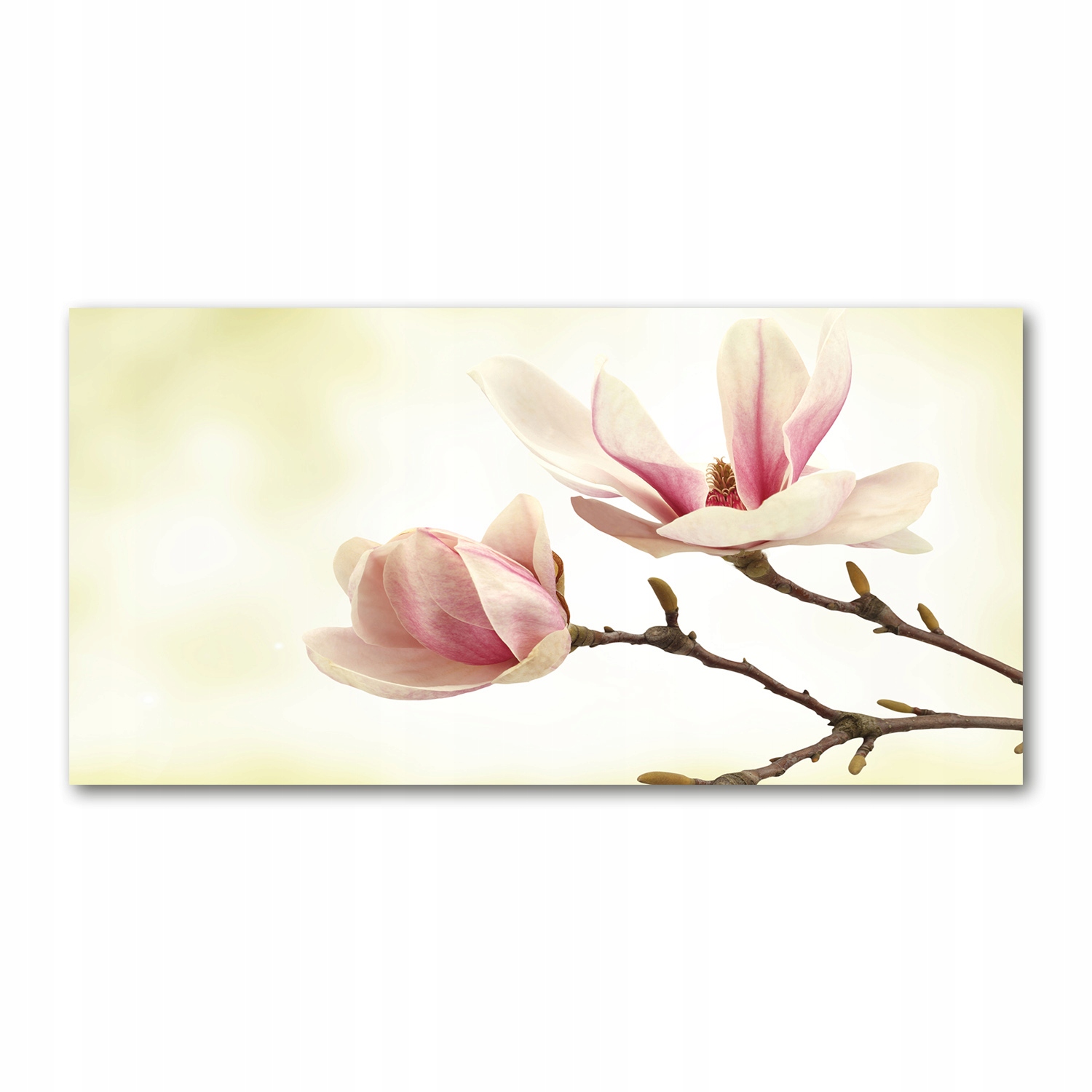

Foto obraz duży akryl nowoczesny Magnolia 120X60cm