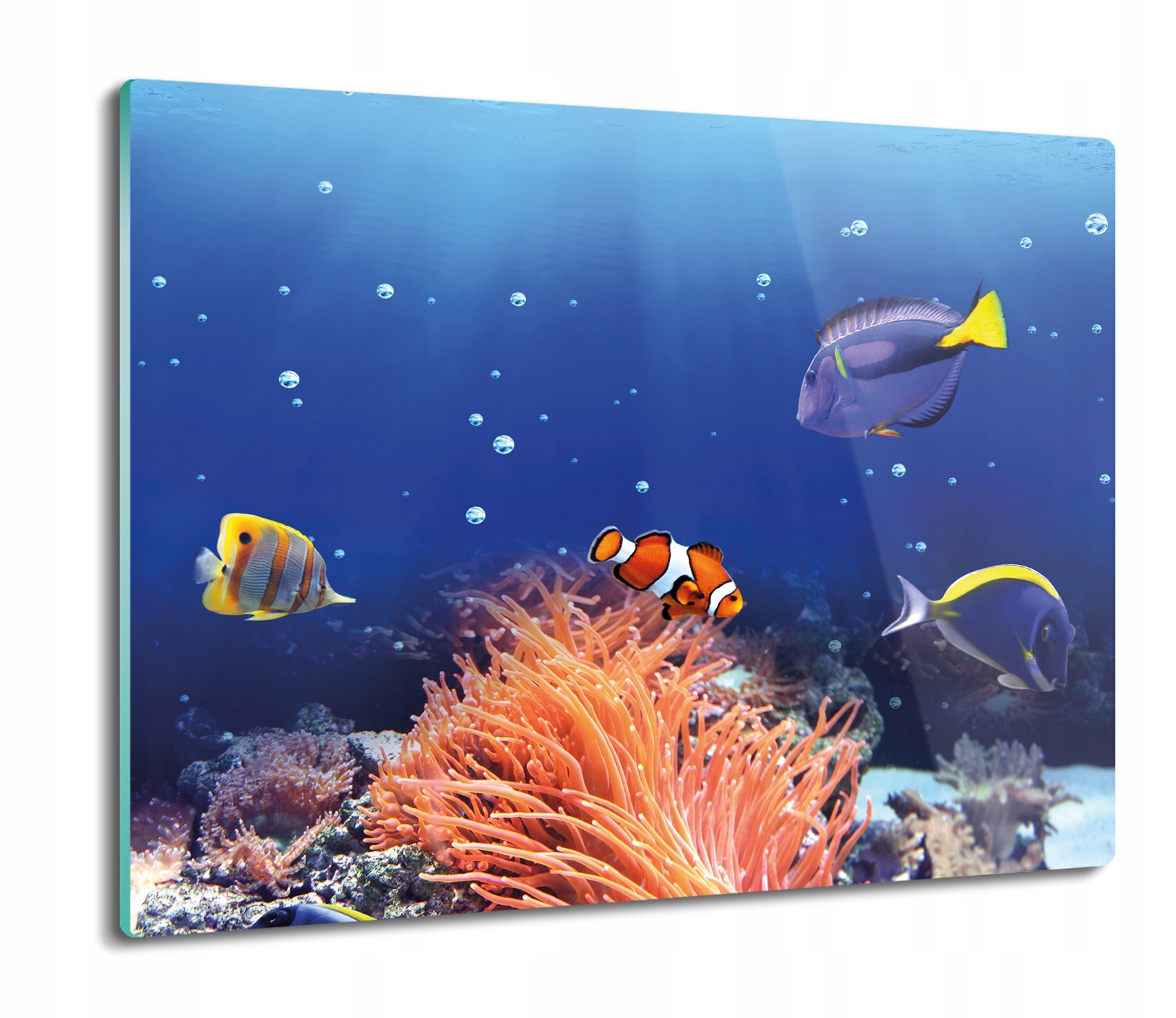 

Ryby rafa ocean 60x52 deska szklana do kuchni