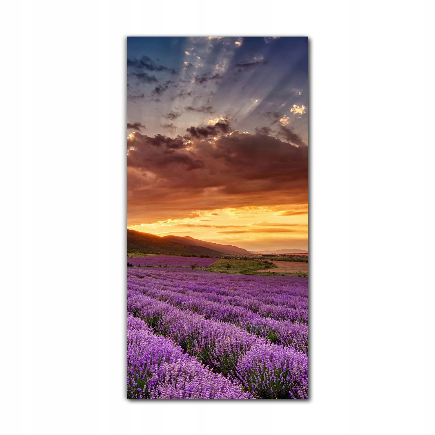 

Obraz na szkle do sypialni 70x140 Krajobraz pola