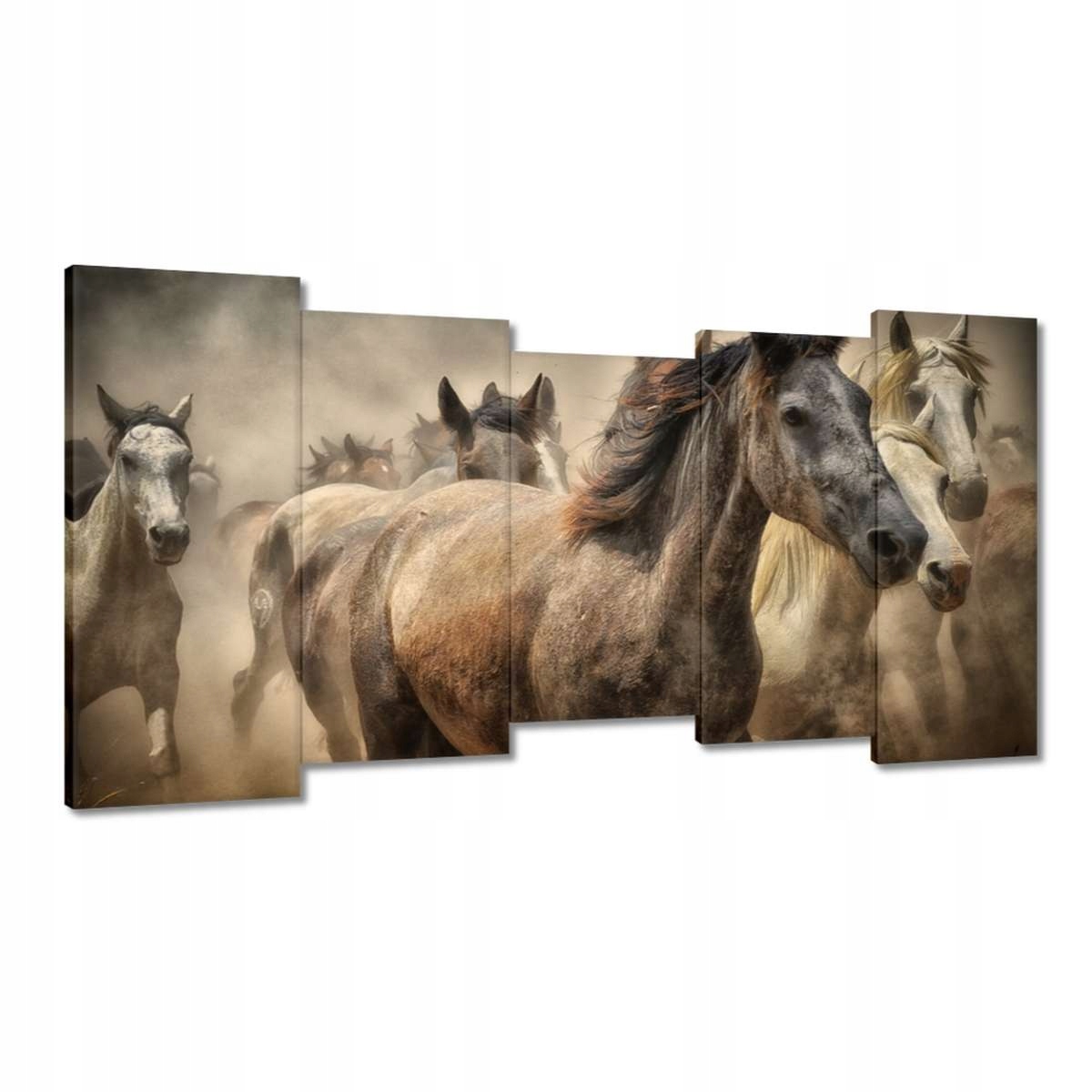 Obrazy 150x80 Kůň Koně Jezdectví