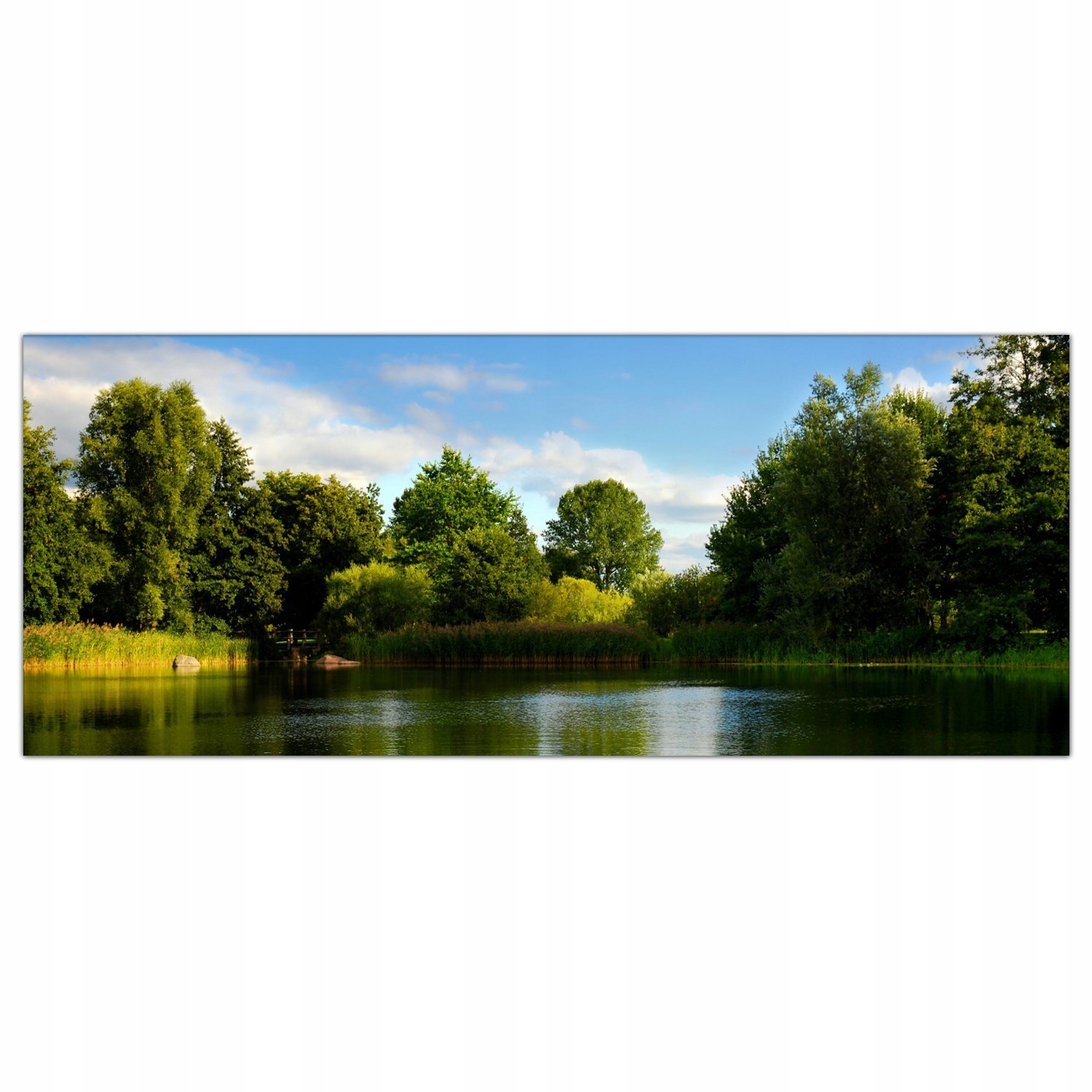 Jezero Stromy Příroda 125x50 Tvrzené sklo panel