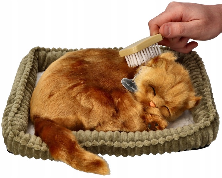 Oddychający Kot Kociak rasy Angora Turecka realistyczny kotek Perfect Petz
