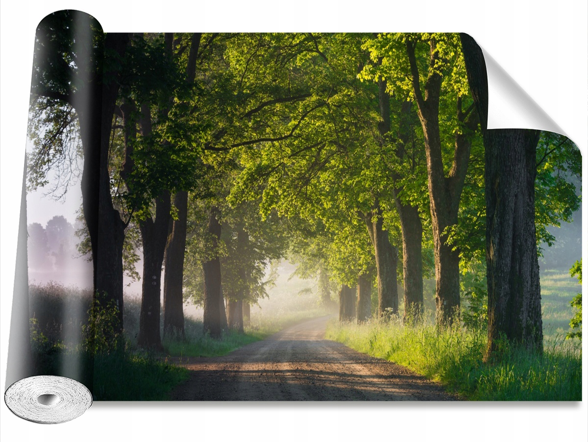 

Tapeta Samoprzylepna Aleja drzew 416x254