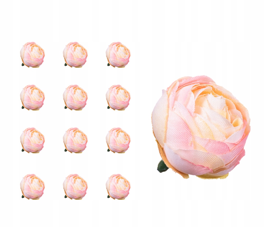 

Kamelka pełnik główka brzoskwiniowa x12 wyrobowa