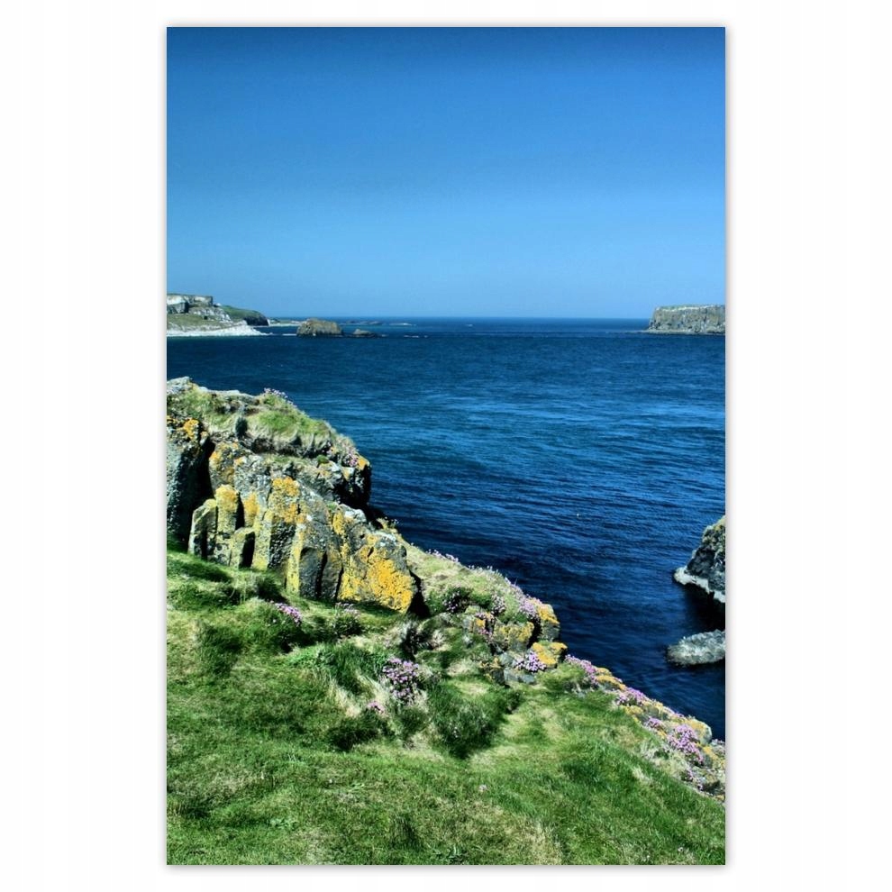 

Plakaty 40x60 Carrick A Rede