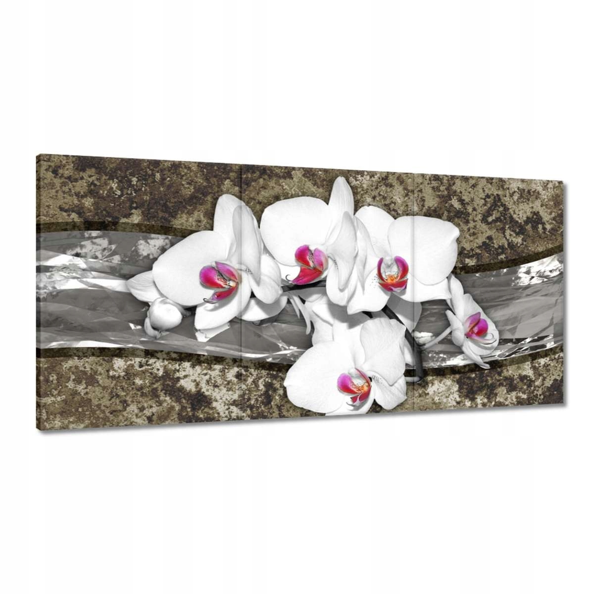 Obrazy 180x90 Biela Orchidea Mramorové pozadie