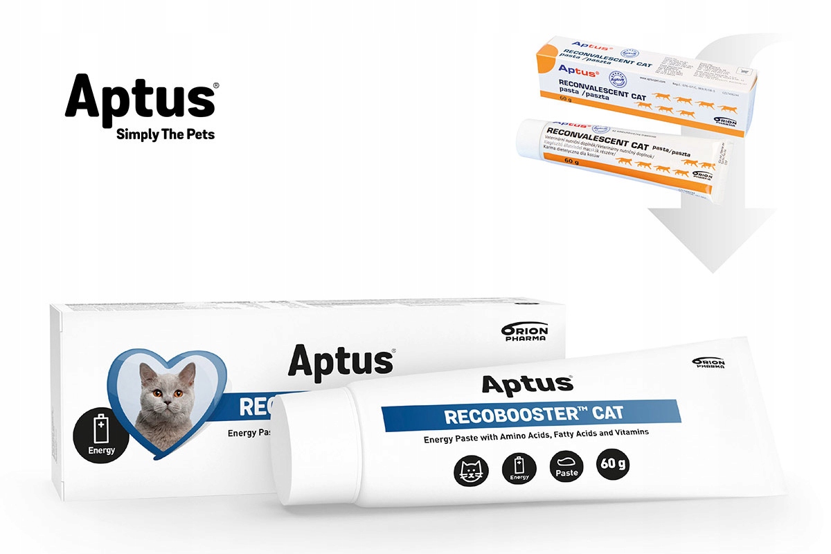 

Aptus Recobooster Cat odżywienie/apetyt pasta 60g