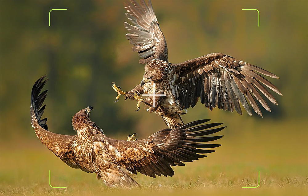 Fotopułapka KJK FKPCAM FK-HC40 4K 64MP IP66 + Panel Solarny Rozdzielczość 64 Mpx