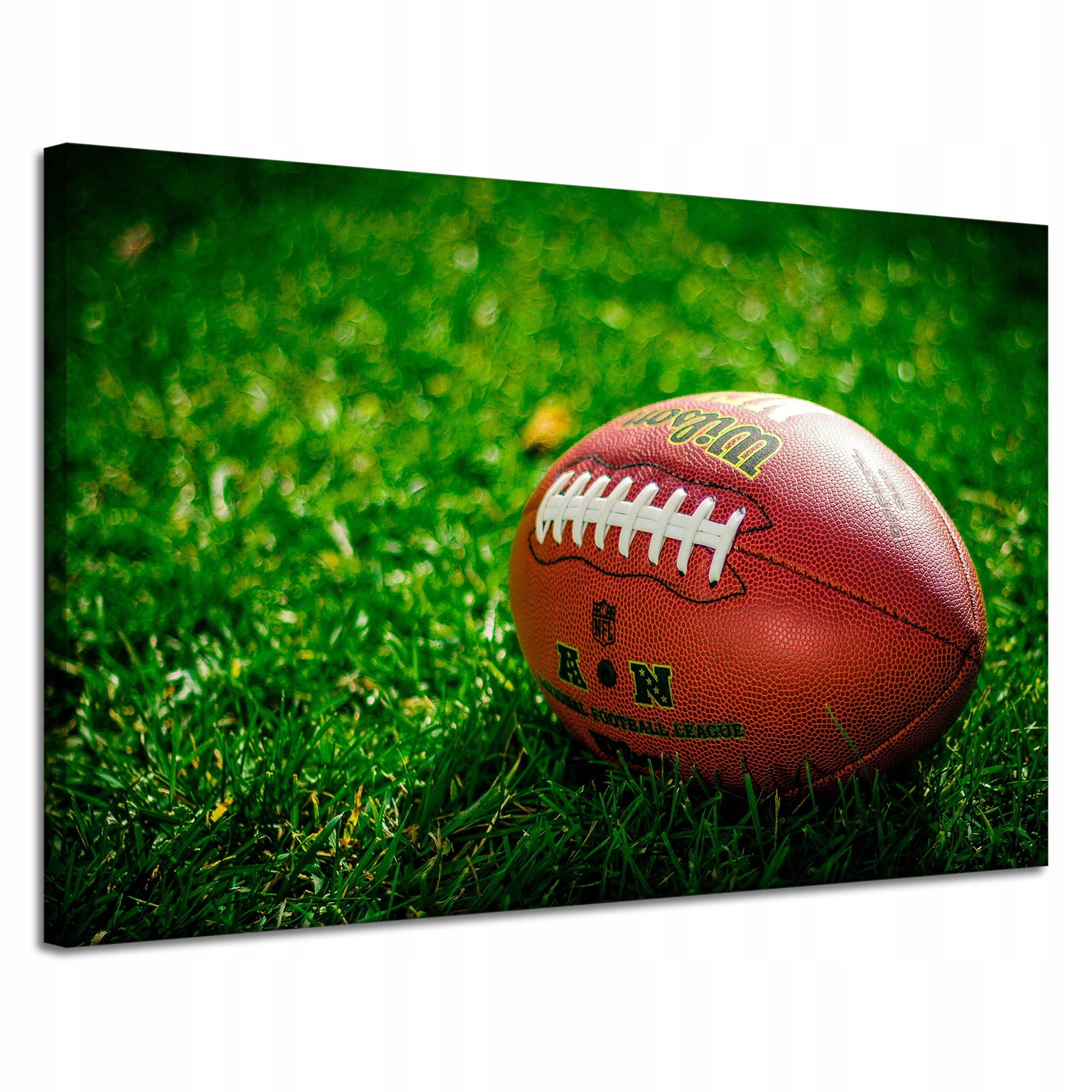 Obraz Canvas Pro Mládež Rugby Sport Usa 120x80 cm