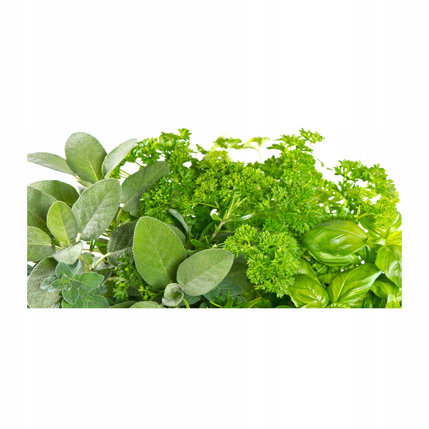 

Foto obraz zdjęcie szkło hartowane Zioła 140x70