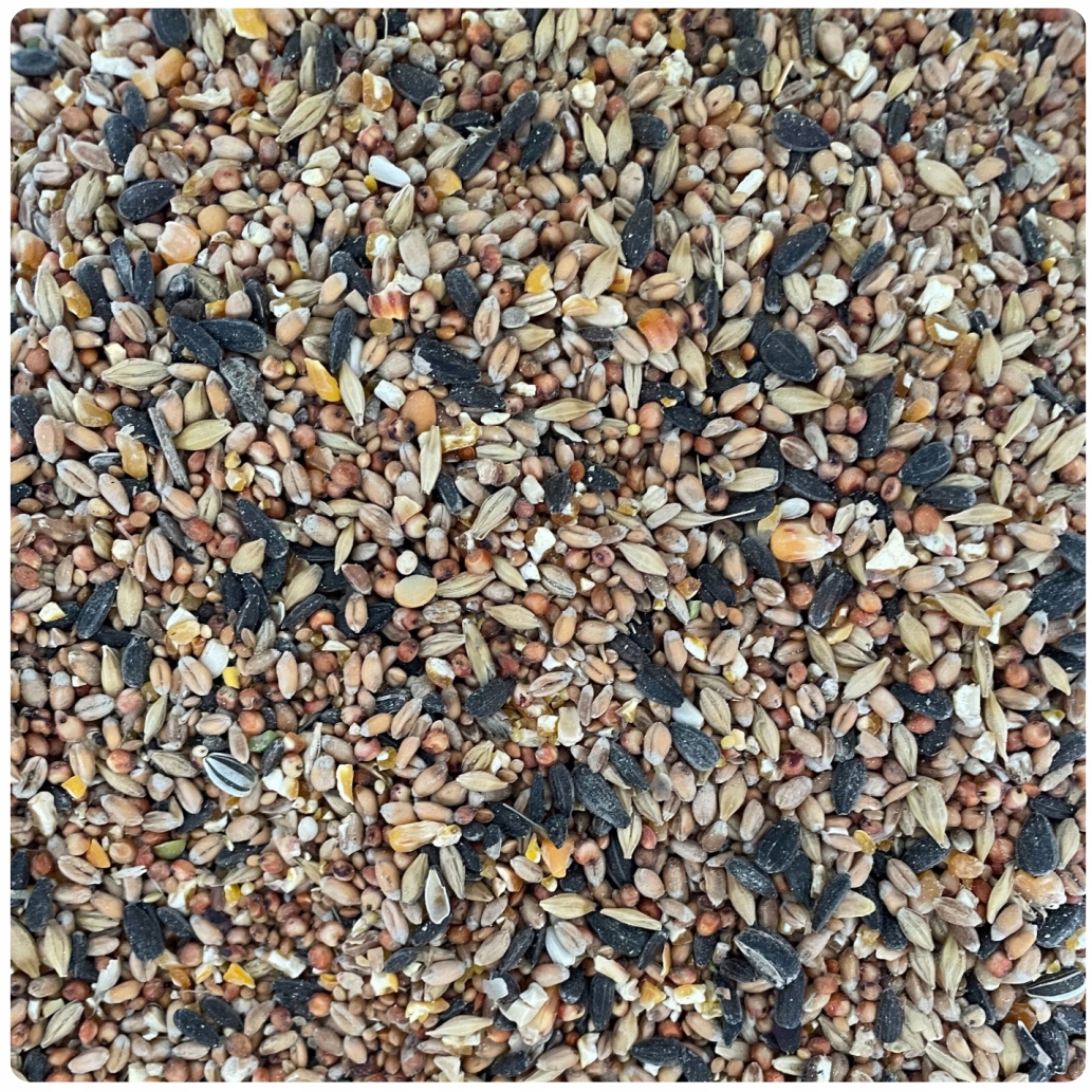 Levně Krmivo Pro Divoké Ptáky 20 kg Jemné Zrno Ideální Do Krmítka