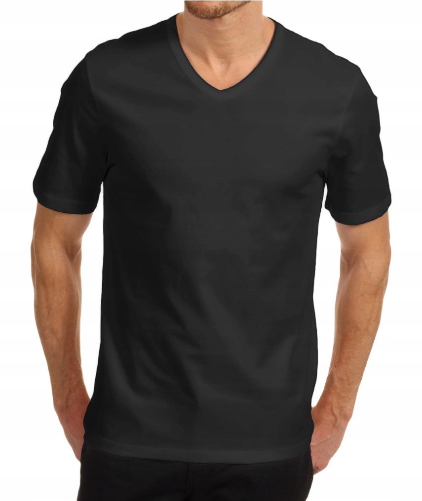 

Original V-neck Męska koszulka w serek Fruit L