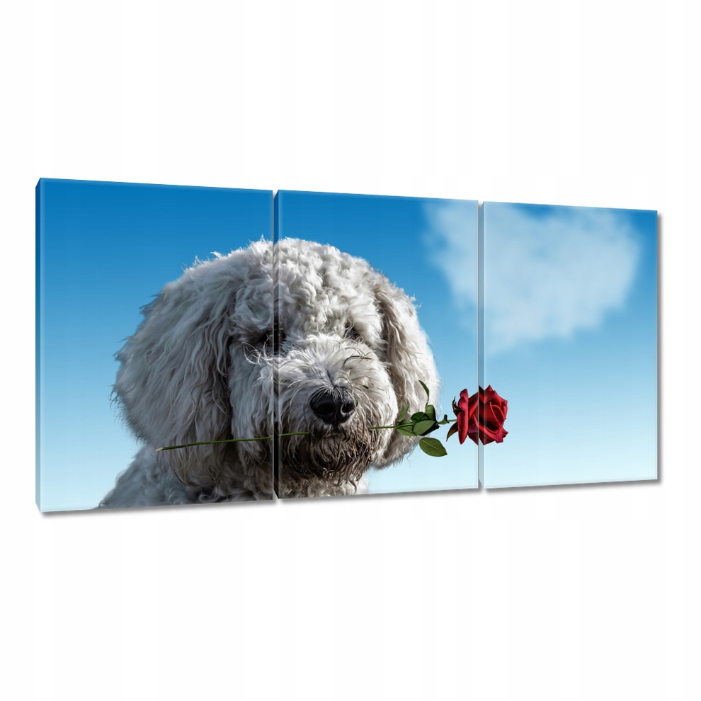 

Obrazy 120x60 Zakochany kundel Miłość