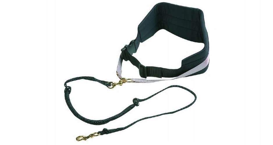 Levně Flamingo Canicross popruh černý 140cm 53-123cm