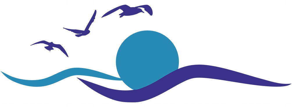 NAKLEJKA Grafika na kamper przyczepę auto OCEAN PTAKI SŁOŃCE FALE 90x266 Numer katalogowy producenta MG3883