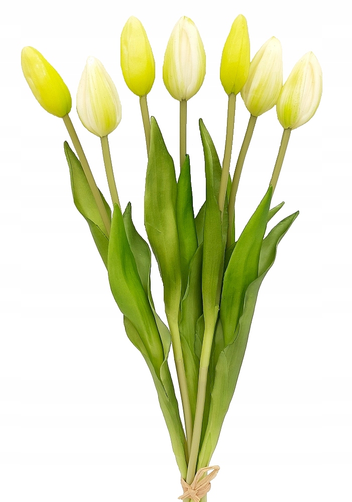 

Tulipan Silikonowy Tulipany Bukiet 7 szt Limonkowe