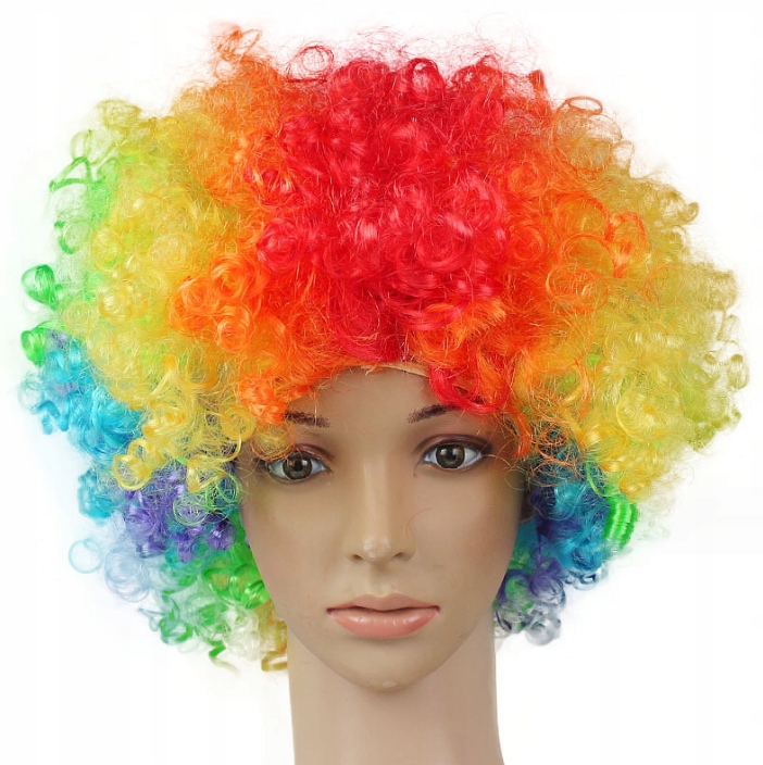 KOLOROWA PERUKA WŁOSY AFRO KARNAWAŁ PARTY FOTOBUDKA URODZINY Płeć uniseks