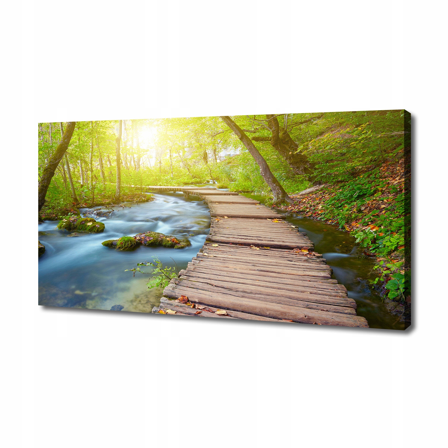 

Foto obraz na płótnie Ścieżka w lesie 140x70 cm