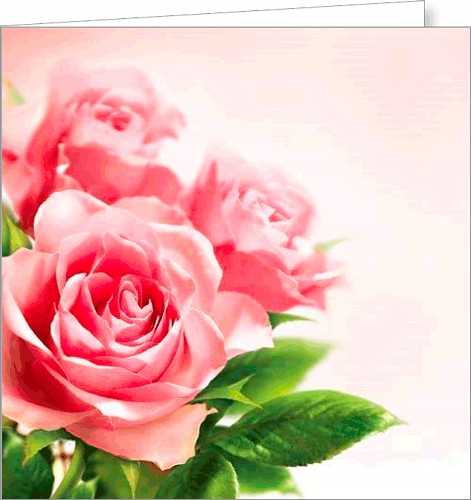 

Kartka dla szefa kolegi mężczyzny bez napisów FF61