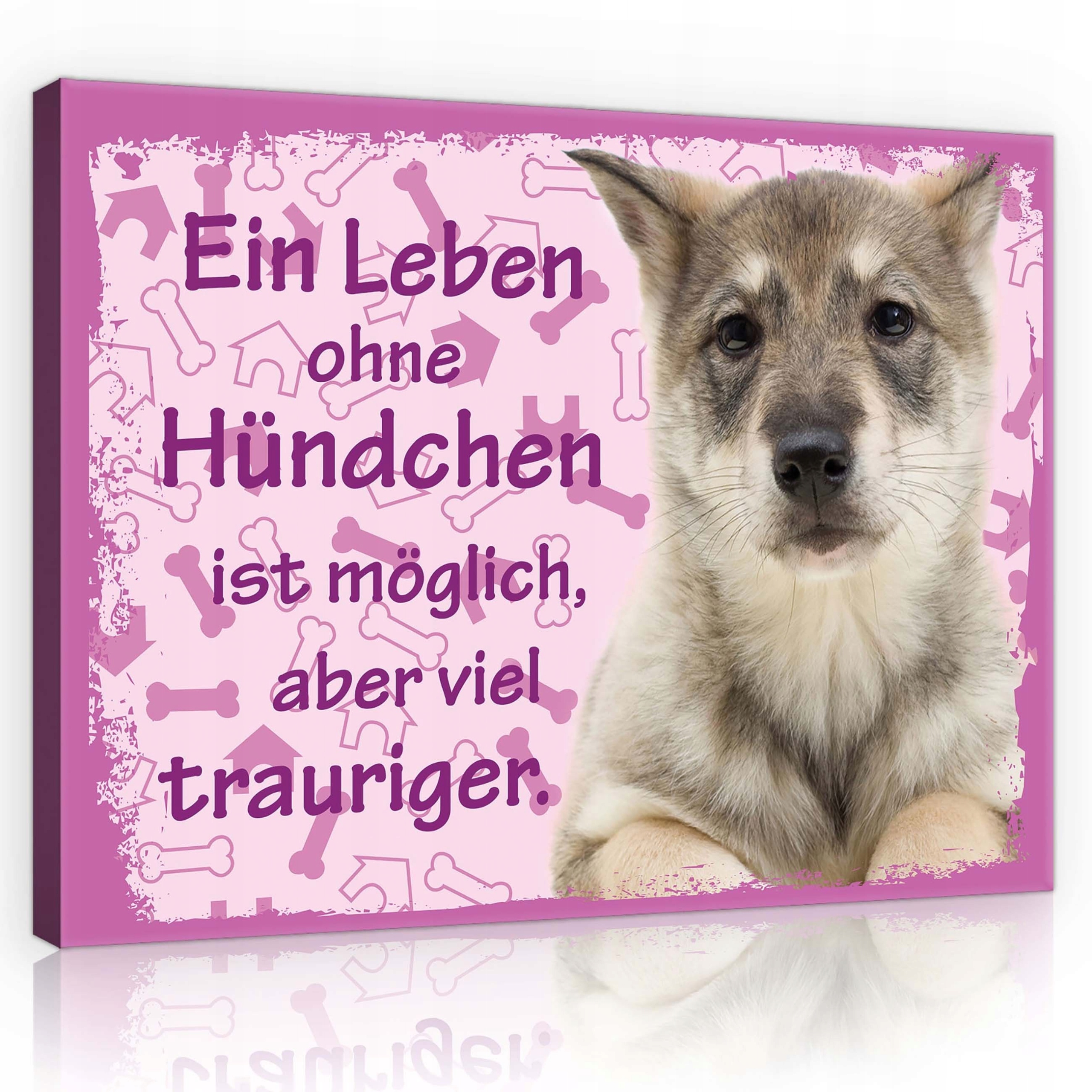 Obraz 80x60 Štěňátko pes mazlíček sladký smutný život kosti Život bez psa