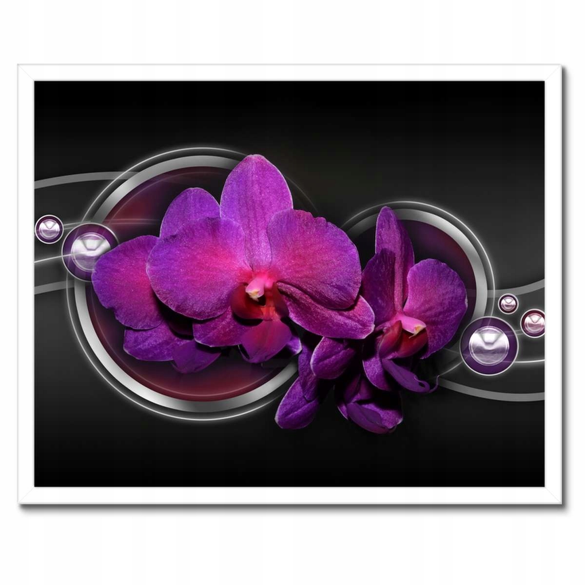 Plakáty v rámu 50x40 Fialová orchidej