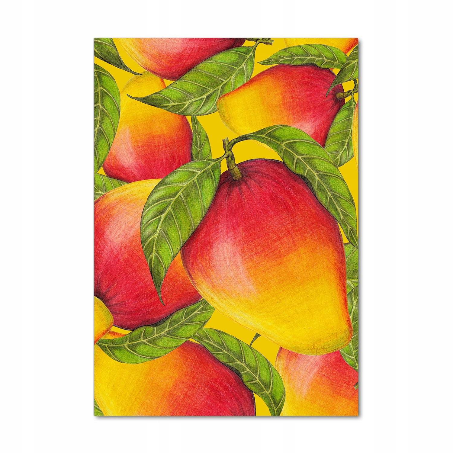 

Nowoczesny foto-obraz akryl na ścianę Mango 70x100