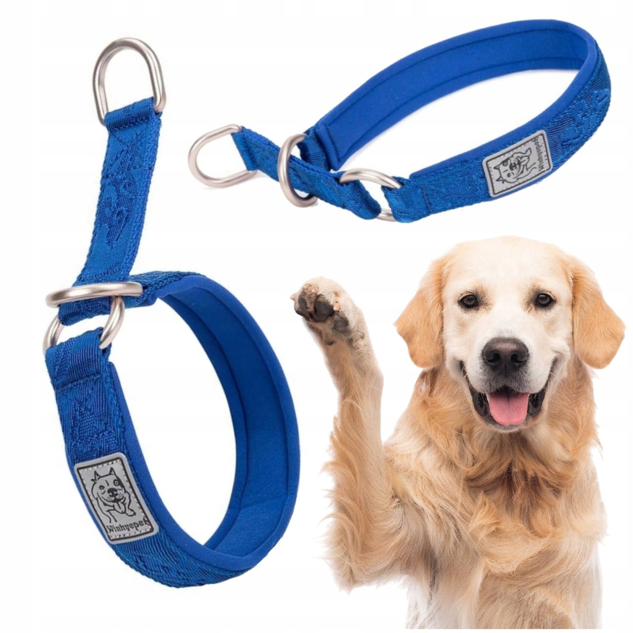 Levně Obojek Pro Psa Polostahovací, Pevný, Winhyepet, Komfort Nošení, Modrý XL