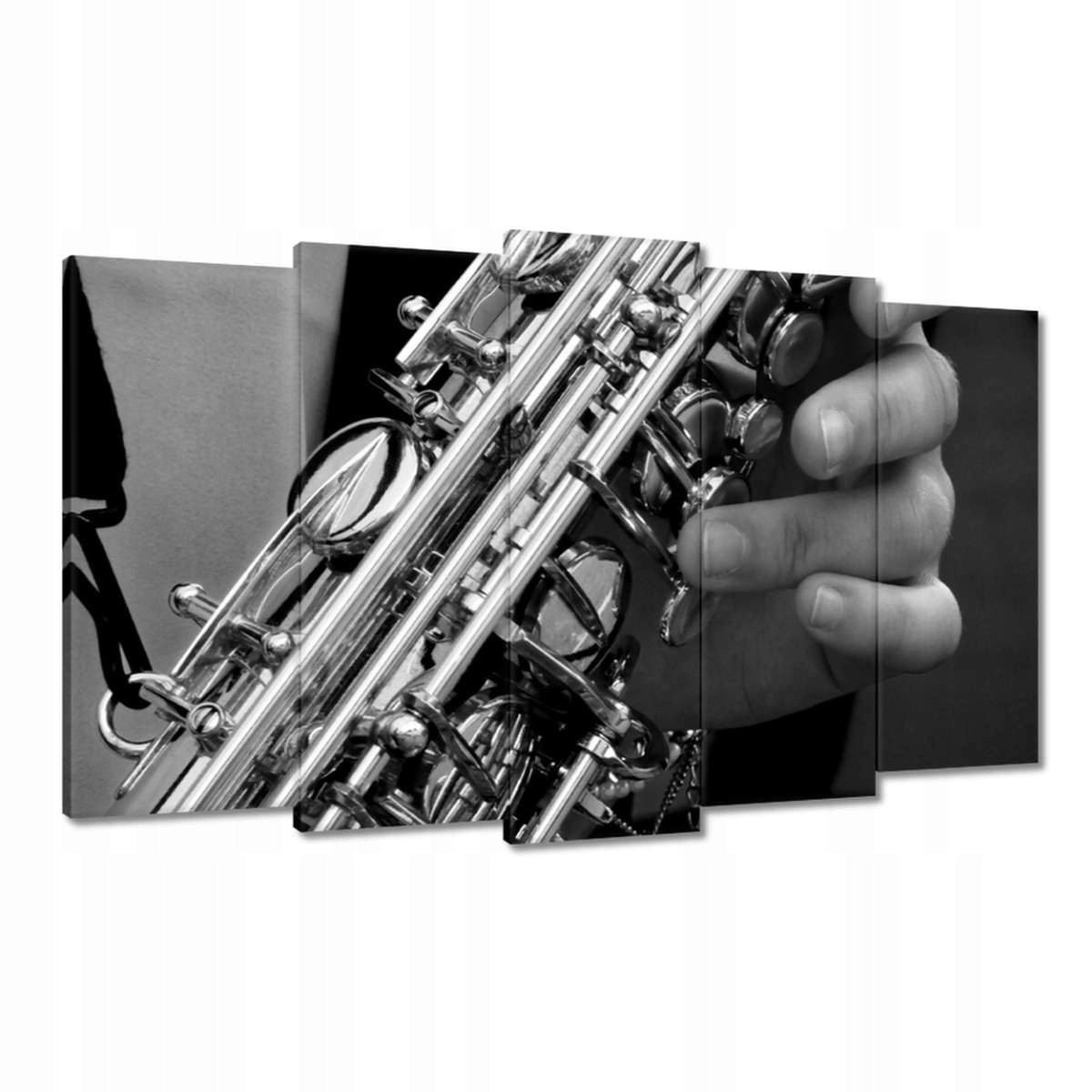 Obrazy 100x60 Jazzman