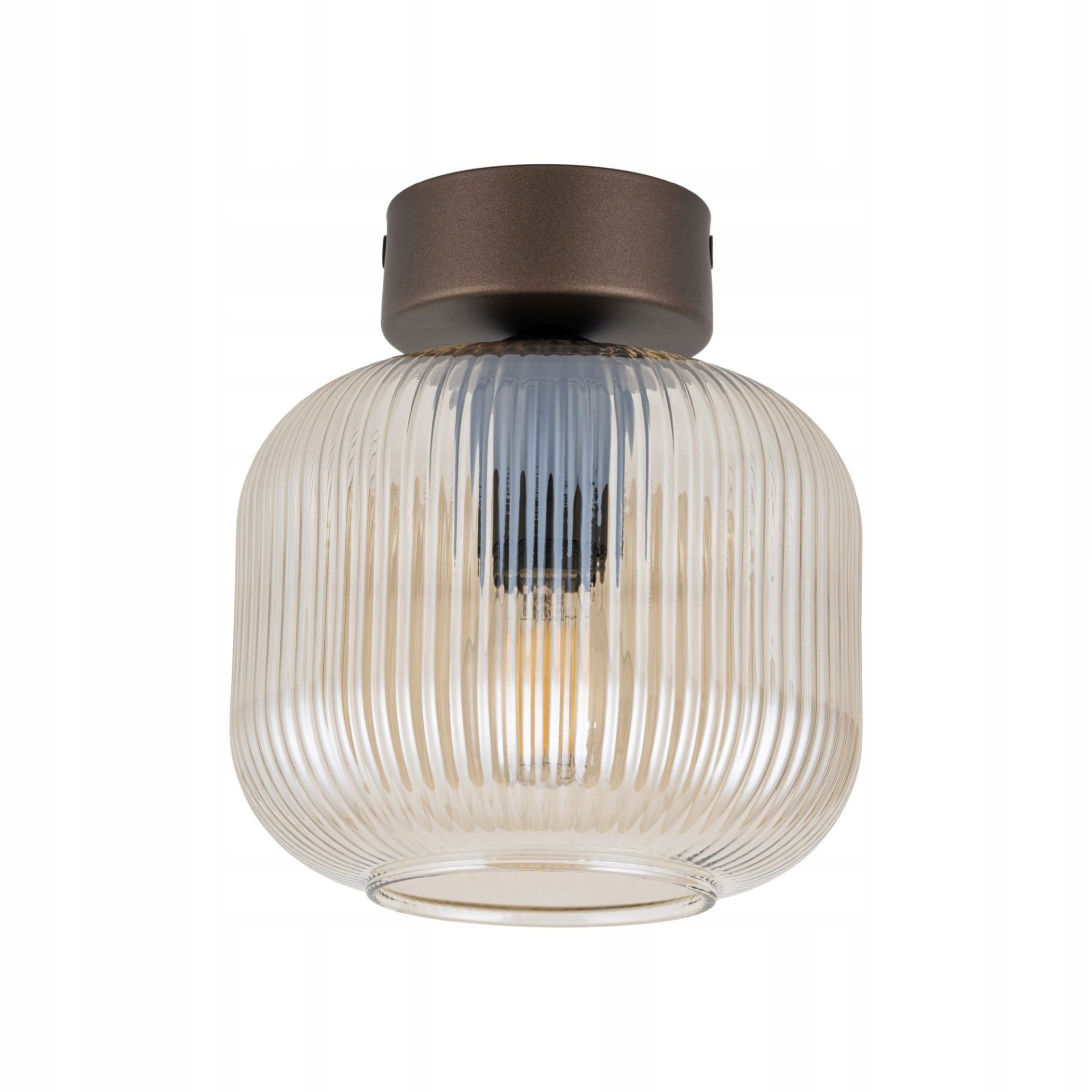 Stropní svítidlo Salvia 11358 Tk Lighting
