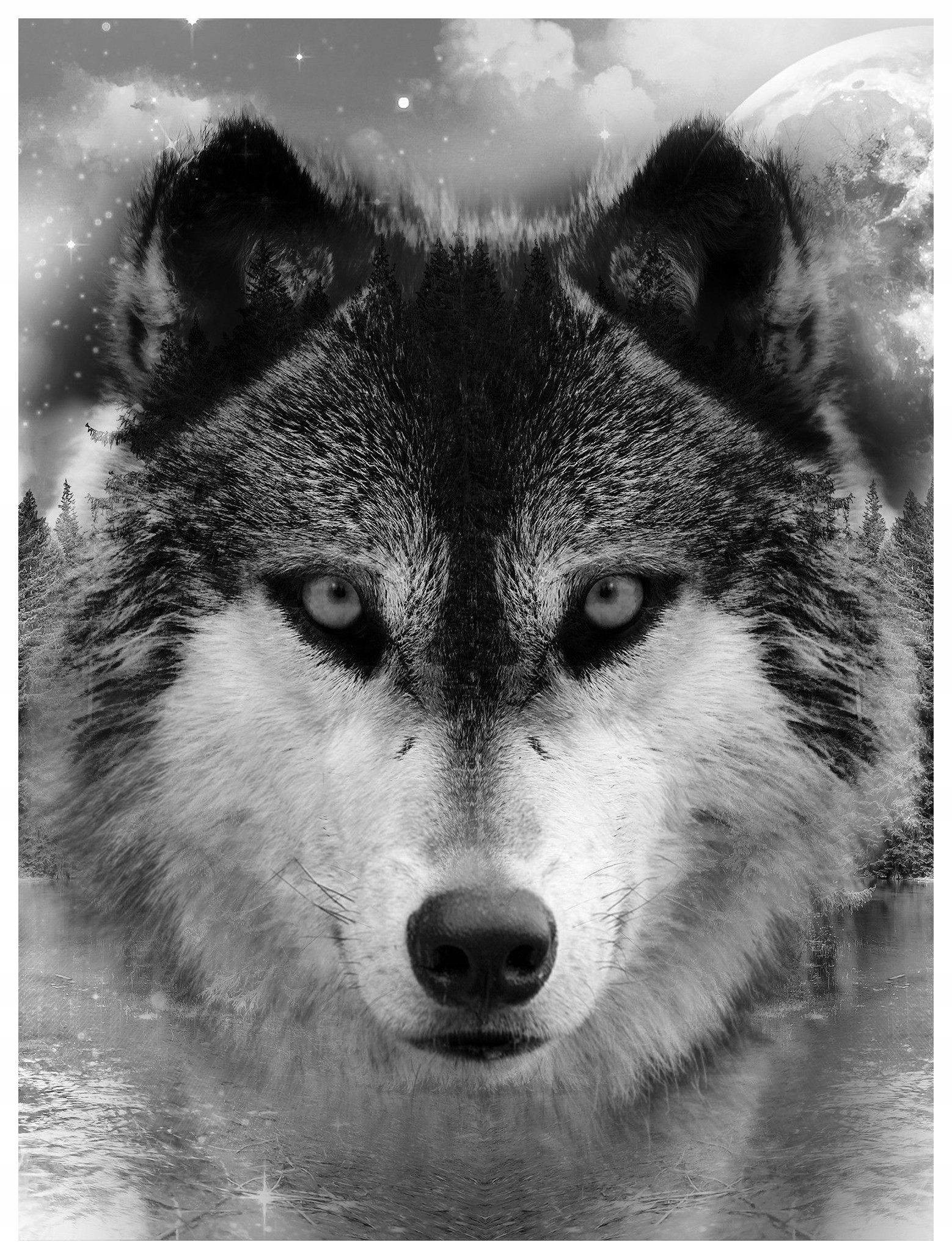 Fototapeta Vlci v noci v měsíčním svitu 184x254, vinylová lepidlo