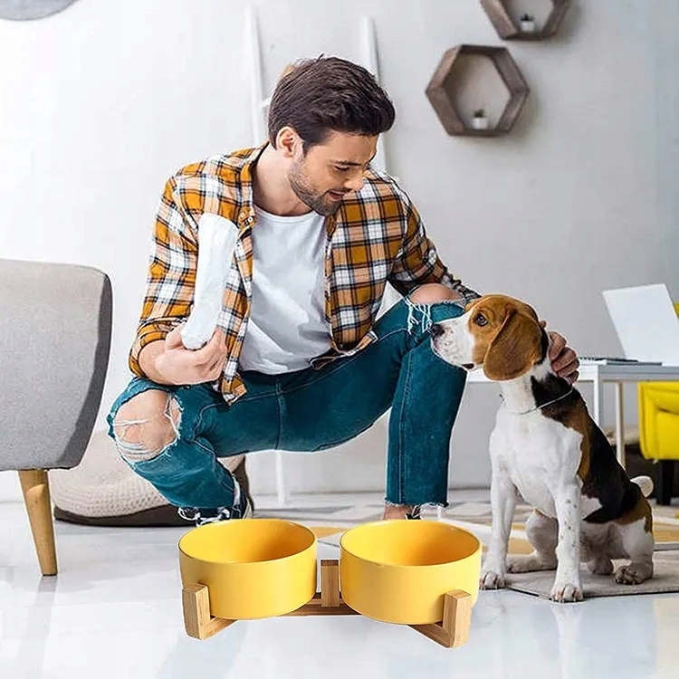 Levně Velká Miska Pro Psa Kočku Dvojitá Keramická 2 x 400ml