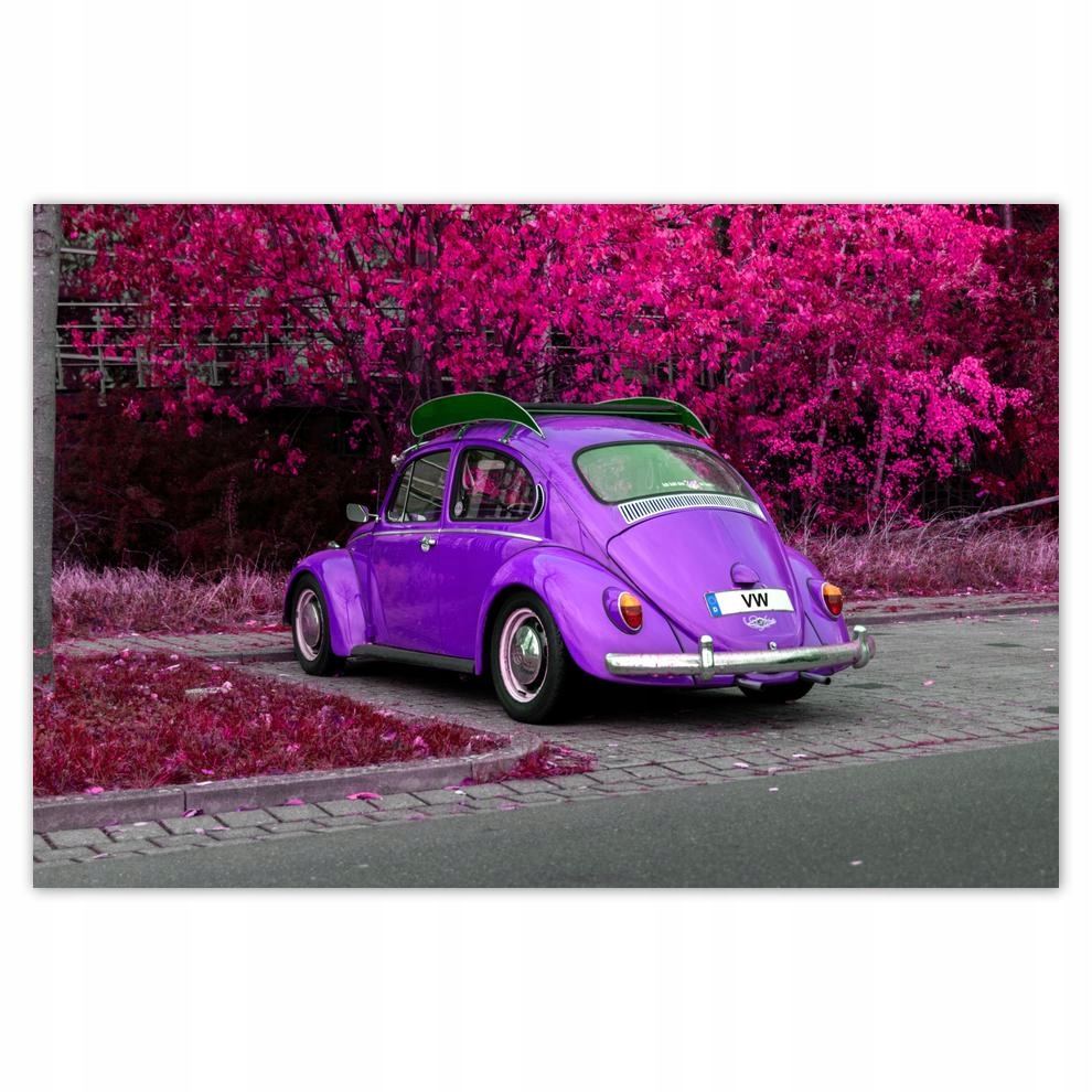 

Plakaty 60x40 Garbus Volkswagen Vw Auto