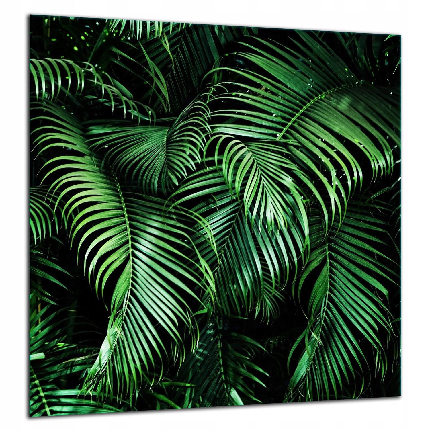 7v1 Skleněná Ochranná Deska Panel Lepidlo 60x65 Listy